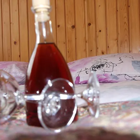 B&B Goscinne Madzia 3*