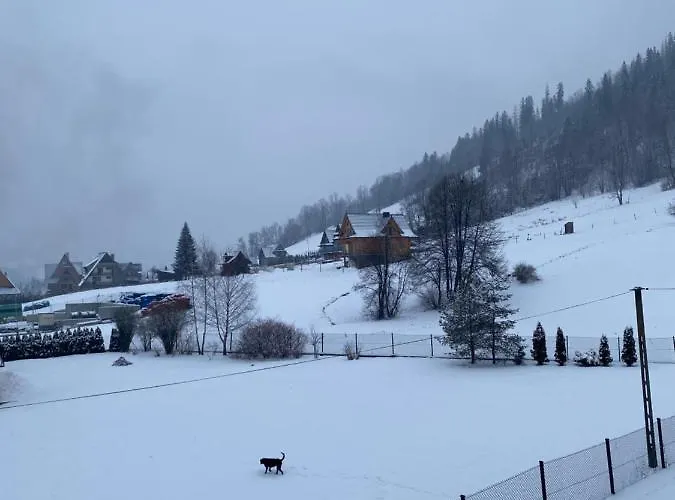 Goscinne Madzia לינה וארוחת בוקר פורונין